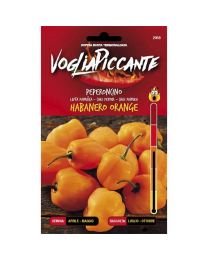 VogliaPiccante Pepper Seeds - Habanero Orange