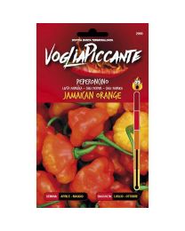 VogliaPiccante Pepper Seeds - Jamaican Orange
