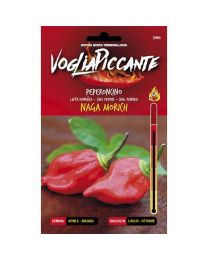 VogliaPiccante Pepper Seeds - Naga Morich