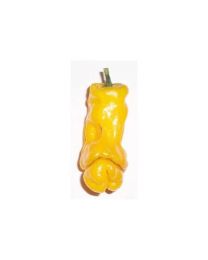 Yellow Peter Pepper - 10 X Pepper Seeds
